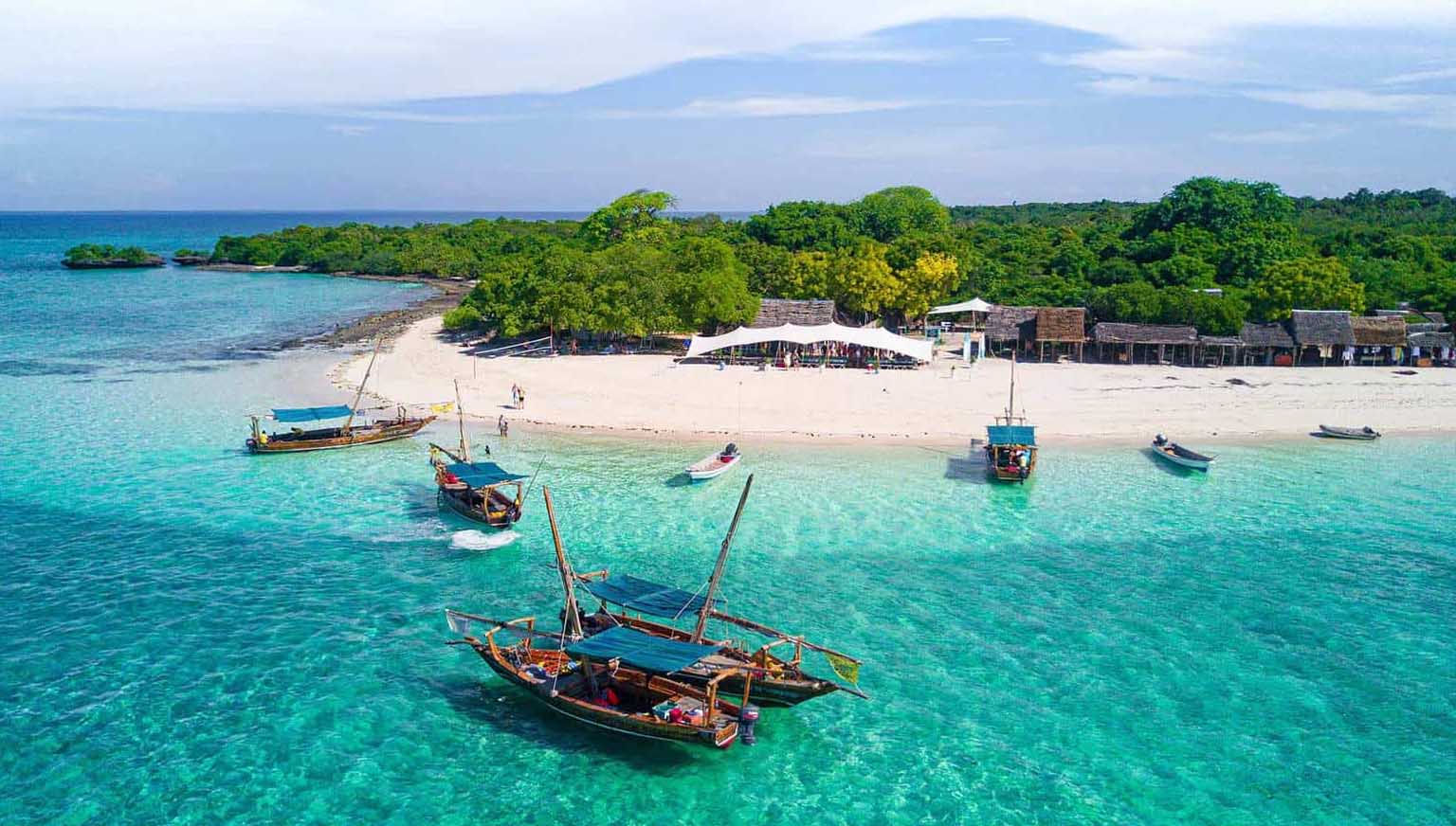 1 Day Mikumi Safari from Zanzibar