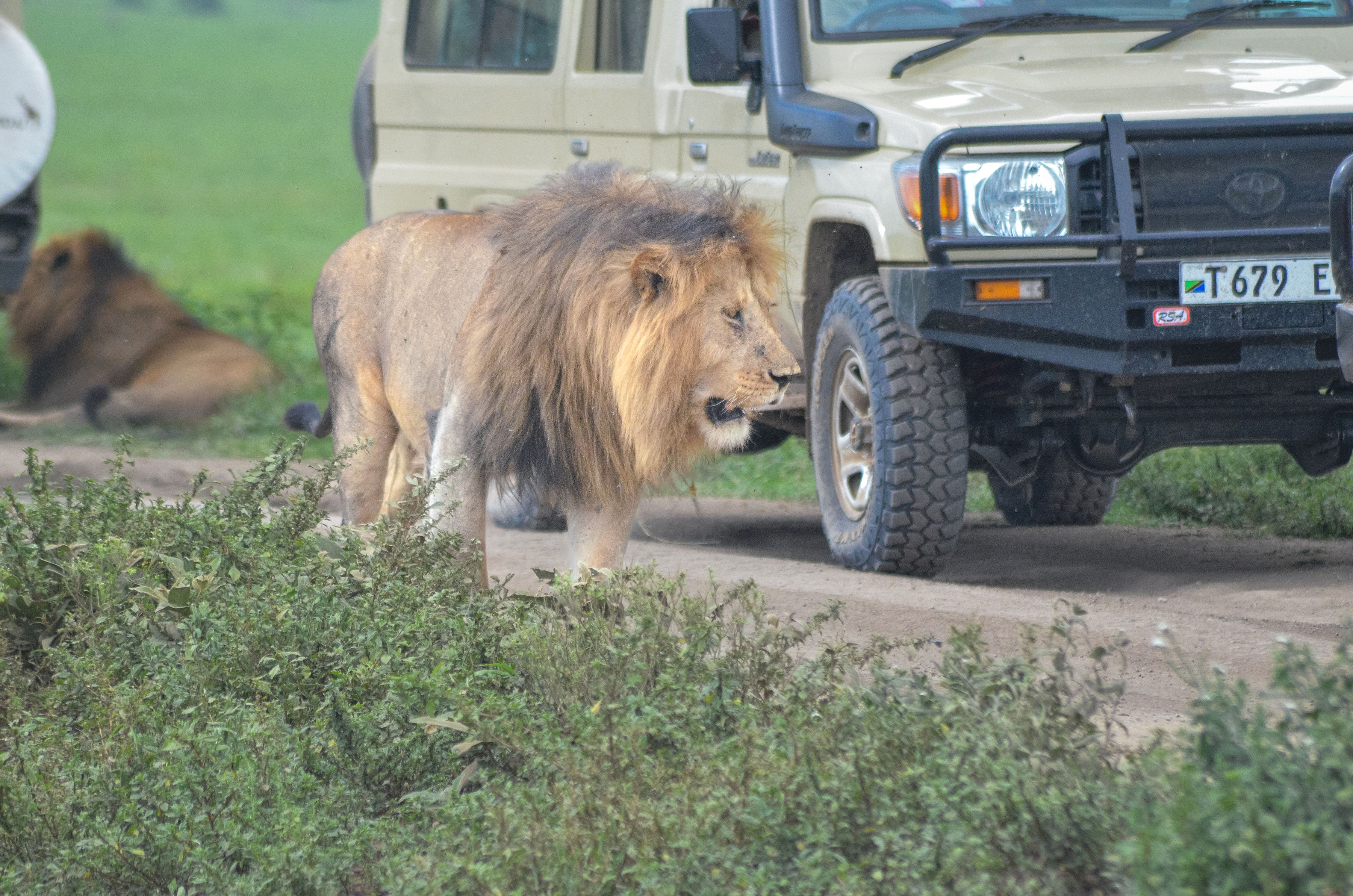Mikumi National Park landscape